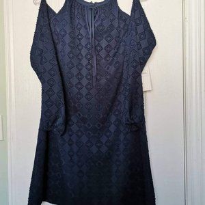 New Cythia Steffe blue dress